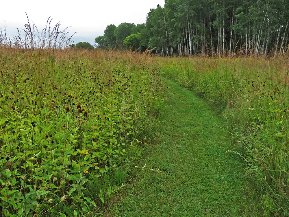 Sunnyside Conservancy 1